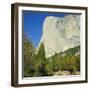 El Capitan, Yosemite National Park, California, USA-G Richardson-Framed Photographic Print