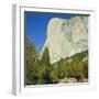 El Capitan, Yosemite National Park, California, USA-G Richardson-Framed Photographic Print