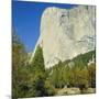 El Capitan, Yosemite National Park, California, USA-G Richardson-Mounted Photographic Print