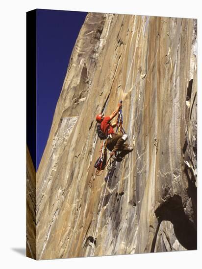 El Capitan, Yosemite National Park, California, USA-null-Stretched Canvas