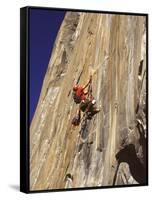 El Capitan, Yosemite National Park, California, USA-null-Framed Stretched Canvas