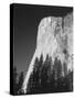 El Capitan, Yosemite National Park, California, USA-Adam Jones-Stretched Canvas