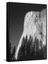 El Capitan, Yosemite National Park, California, USA-Adam Jones-Framed Stretched Canvas