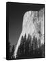 El Capitan, Yosemite National Park, California, USA-Adam Jones-Framed Stretched Canvas