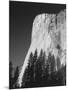 El Capitan, Yosemite National Park, California, USA-Adam Jones-Mounted Photographic Print