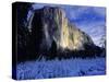 El Capitan, Yosemite National Park, California, USA-Scott Smith-Stretched Canvas