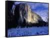 El Capitan, Yosemite National Park, California, USA-Scott Smith-Framed Stretched Canvas