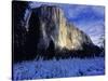 El Capitan, Yosemite National Park, California, USA-Scott Smith-Stretched Canvas