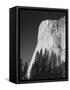 El Capitan, Yosemite National Park, California, USA-Adam Jones-Framed Stretched Canvas