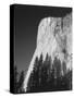 El Capitan, Yosemite National Park, California, USA-Adam Jones-Stretched Canvas