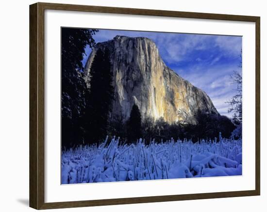 El Capitan, Yosemite National Park, California, USA-Scott Smith-Framed Photographic Print