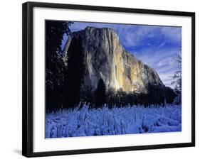 El Capitan, Yosemite National Park, California, USA-Scott Smith-Framed Photographic Print