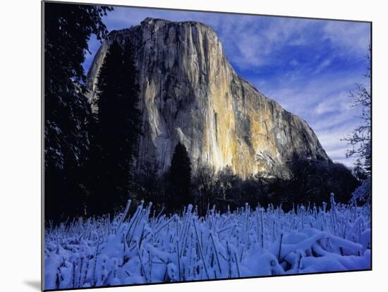 El Capitan, Yosemite National Park, California, USA-Scott Smith-Mounted Photographic Print