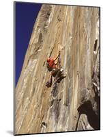 El Capitan, Yosemite National Park, California, USA-null-Mounted Photographic Print