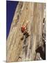 El Capitan, Yosemite National Park, California, USA-null-Mounted Photographic Print