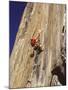 El Capitan, Yosemite National Park, California, USA-null-Mounted Photographic Print