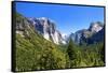 El Capitan - Yosemite National Park - Californie - United States-Philippe Hugonnard-Framed Stretched Canvas