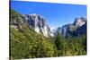 El Capitan - Yosemite National Park - Californie - United States-Philippe Hugonnard-Stretched Canvas