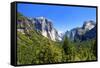 El Capitan - Yosemite National Park - Californie - United States-Philippe Hugonnard-Framed Stretched Canvas