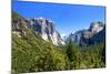 El Capitan - Yosemite National Park - Californie - United States-Philippe Hugonnard-Mounted Photographic Print