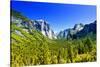 El Capitan - Yosemite National Park - Californie - United States-Philippe Hugonnard-Stretched Canvas