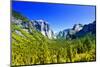 El Capitan - Yosemite National Park - Californie - United States-Philippe Hugonnard-Mounted Photographic Print