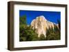 El Capitan, Yosemite Valley, Yosemite National Park, California, USA-Russ Bishop-Framed Photographic Print