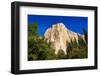 El Capitan, Yosemite Valley, Yosemite National Park, California, USA-Russ Bishop-Framed Photographic Print