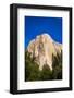 El Capitan, Yosemite Valley, Yosemite National Park, California, USA-Russ Bishop-Framed Photographic Print