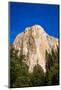 El Capitan, Yosemite Valley, Yosemite National Park, California, USA-Russ Bishop-Mounted Photographic Print