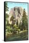 El Capitan, Yosemite-null-Framed Stretched Canvas