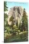 El Capitan, Yosemite-null-Stretched Canvas