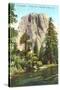 El Capitan, Yosemite-null-Stretched Canvas