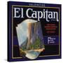 El Captain Brand - San Dimas, California - Citrus Crate Label-Lantern Press-Stretched Canvas