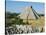 El Castillo, Pyramid of Kukolkan, Chichen Itza, Mexico-Adina Tovy-Stretched Canvas