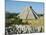 El Castillo, Pyramid of Kukolkan, Chichen Itza, Mexico-Adina Tovy-Mounted Photographic Print