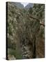 El Chorro Gorge and the Old Catwalk, Malaga Province, Andalucia, Spain, Europe-Maxwell Duncan-Stretched Canvas