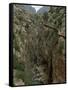 El Chorro Gorge and the Old Catwalk, Malaga Province, Andalucia, Spain, Europe-Maxwell Duncan-Framed Stretched Canvas