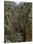 El Chorro Gorge and the Old Catwalk, Malaga Province, Andalucia, Spain, Europe-Maxwell Duncan-Stretched Canvas