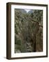 El Chorro Gorge and the Old Catwalk, Malaga Province, Andalucia, Spain, Europe-Maxwell Duncan-Framed Photographic Print