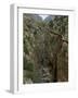 El Chorro Gorge and the Old Catwalk, Malaga Province, Andalucia, Spain, Europe-Maxwell Duncan-Framed Photographic Print