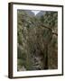 El Chorro Gorge and the Old Catwalk, Malaga Province, Andalucia, Spain, Europe-Maxwell Duncan-Framed Photographic Print