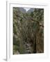 El Chorro Gorge and the Old Catwalk, Malaga Province, Andalucia, Spain, Europe-Maxwell Duncan-Framed Photographic Print