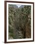 El Chorro Gorge and the Old Catwalk, Malaga Province, Andalucia, Spain, Europe-Maxwell Duncan-Framed Photographic Print