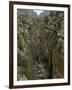 El Chorro Gorge and the Old Catwalk, Malaga Province, Andalucia, Spain, Europe-Maxwell Duncan-Framed Photographic Print