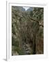 El Chorro Gorge and the Old Catwalk, Malaga Province, Andalucia, Spain, Europe-Maxwell Duncan-Framed Photographic Print