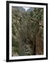 El Chorro Gorge and the Old Catwalk, Malaga Province, Andalucia, Spain, Europe-Maxwell Duncan-Framed Photographic Print