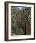 El Chorro Gorge and the Old Catwalk, Malaga Province, Andalucia, Spain, Europe-Maxwell Duncan-Framed Photographic Print