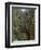 El Chorro Gorge and the Old Catwalk, Malaga Province, Andalucia, Spain, Europe-Maxwell Duncan-Framed Photographic Print