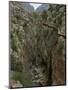 El Chorro Gorge and the Old Catwalk, Malaga Province, Andalucia, Spain, Europe-Maxwell Duncan-Mounted Photographic Print